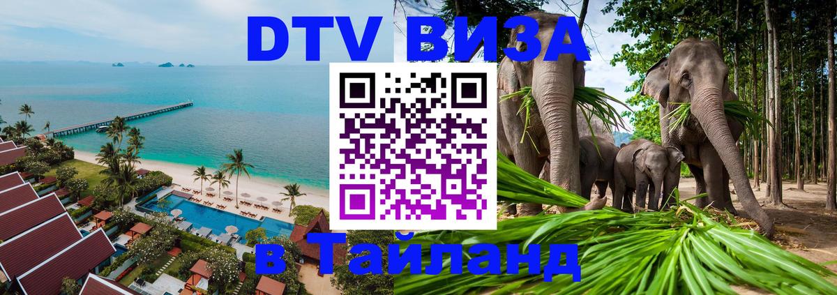 Visa ДТВ Тайланд помощь Оренбург 